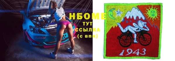 СК Вязьма