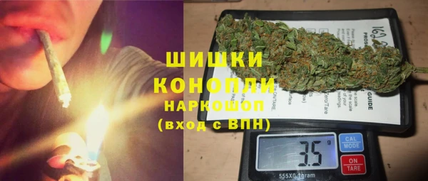 СК Вязьма