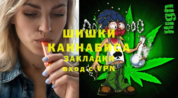 СК Вязьма