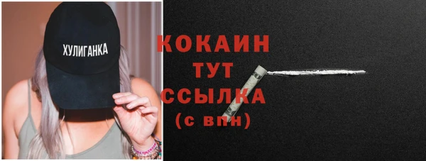 дмт Вяземский