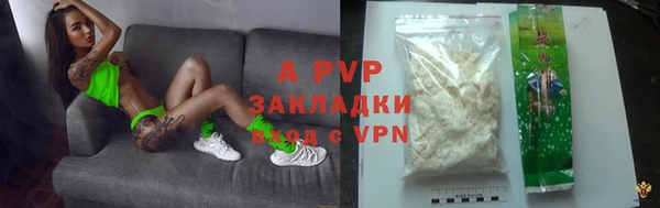 СК Вязьма