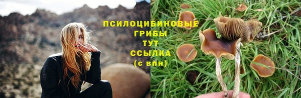 СК Вязьма