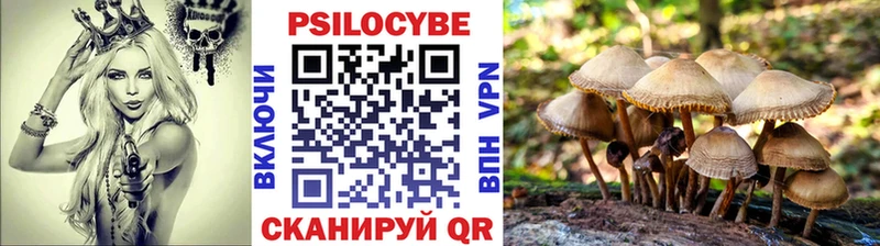 Галлюциногенные грибы Cubensis  где купить наркоту  Зубцов 